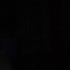 Meet your Posher, Gavin